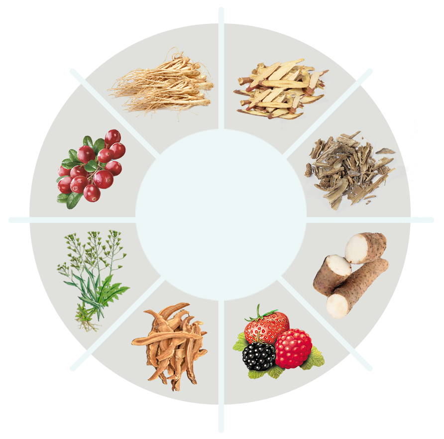 Axavive ingredient circle